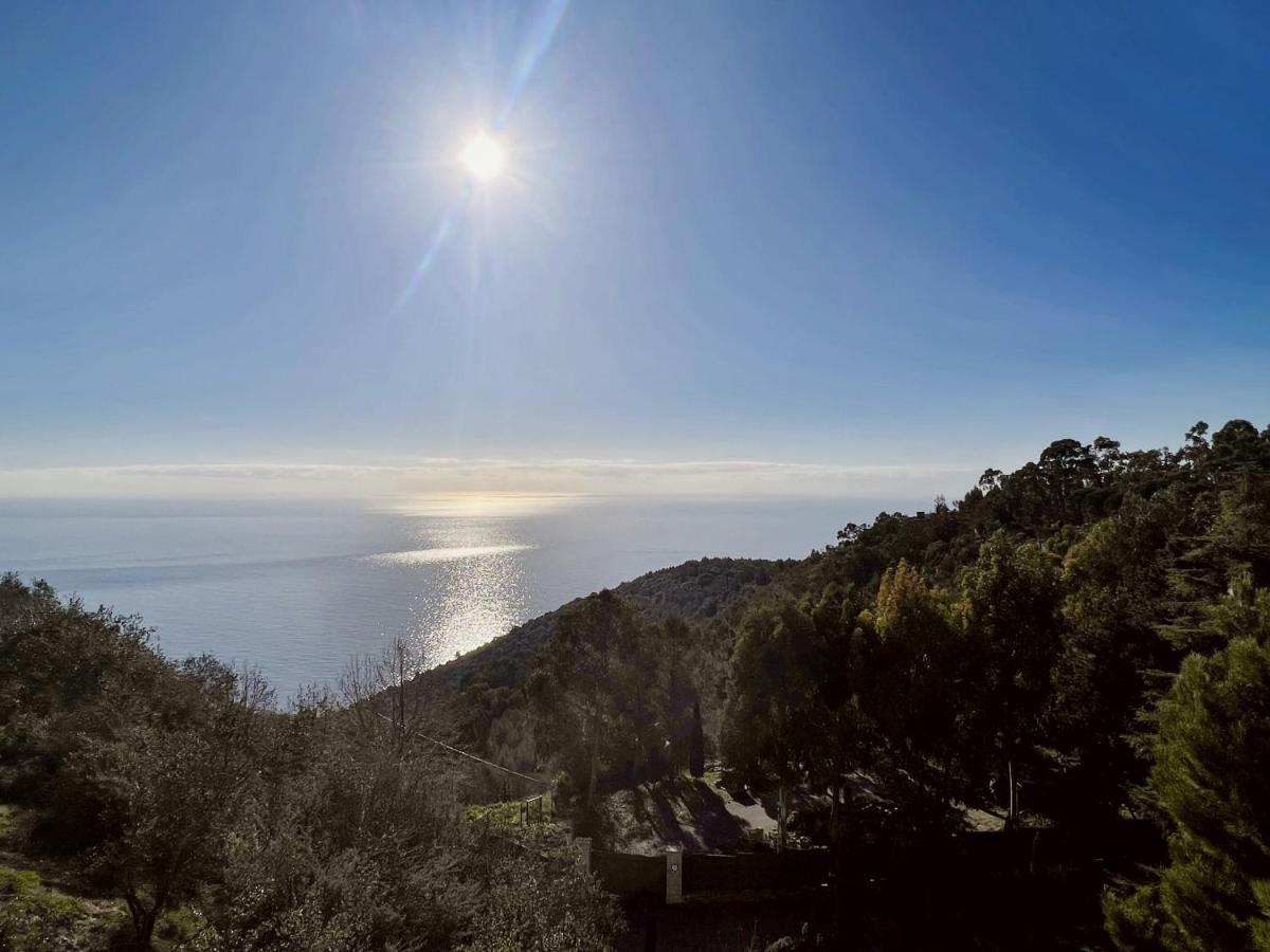 Magnifique 3 Pieces Vue Mer - Eze Apartment Exterior photo